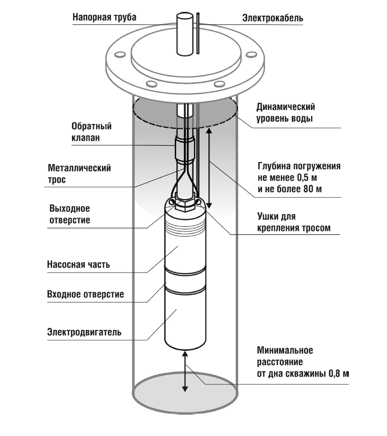 Ремонт насоса Беламос TF